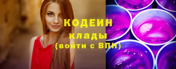 сатива Дмитриев