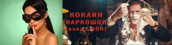 сатива Дмитриев