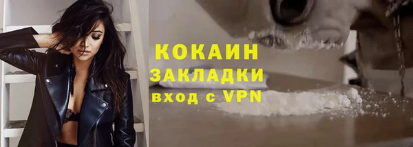 сатива Дмитриев