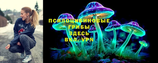 сатива Дмитриев