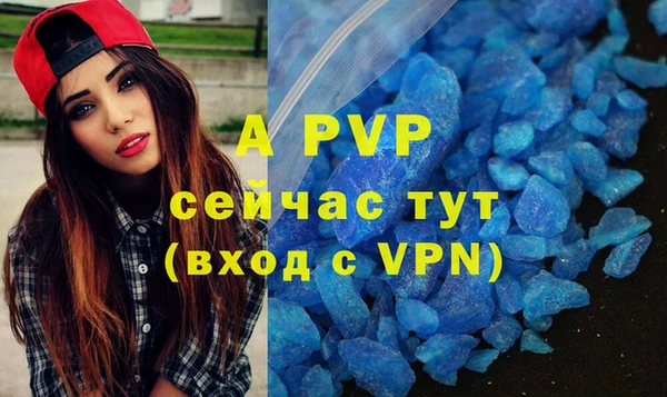 сатива Дмитриев