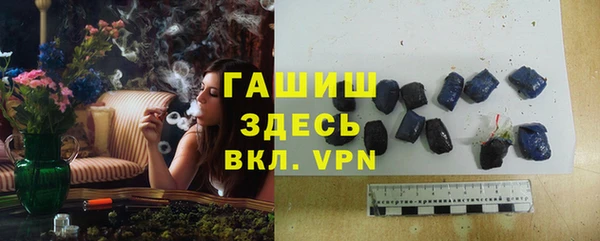 сатива Дмитриев