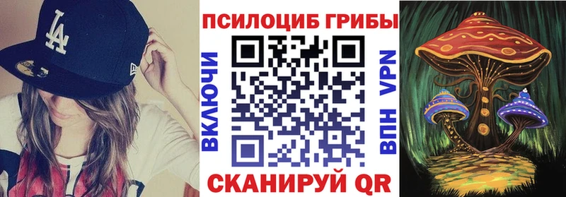 Псилоцибиновые грибы мицелий  Себеж 